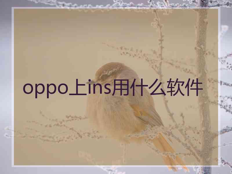 oppo上ins用什么软件