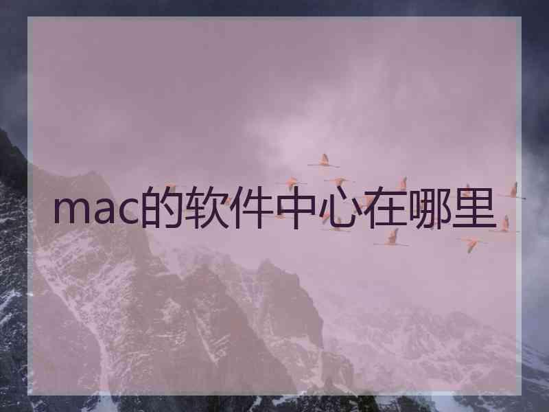 mac的软件中心在哪里