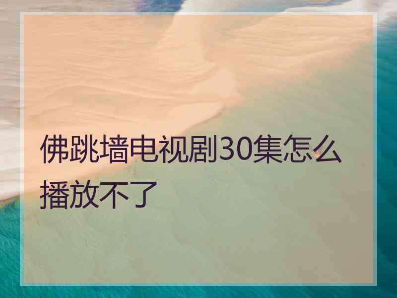 佛跳墙电视剧30集怎么播放不了