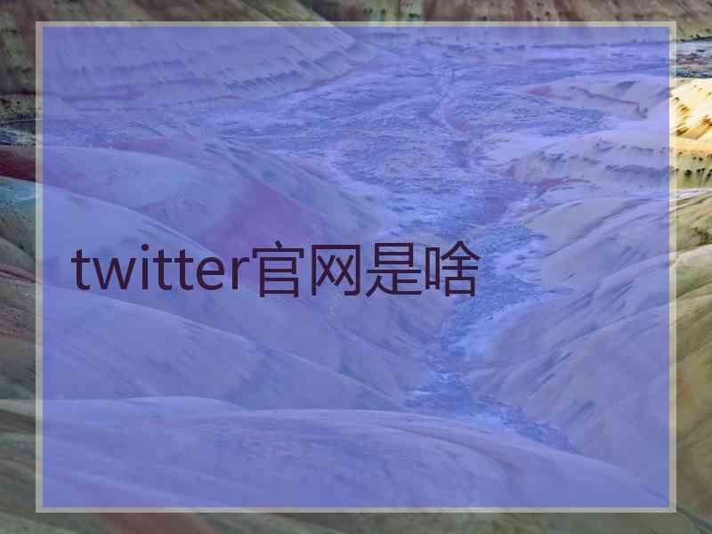 twitter官网是啥