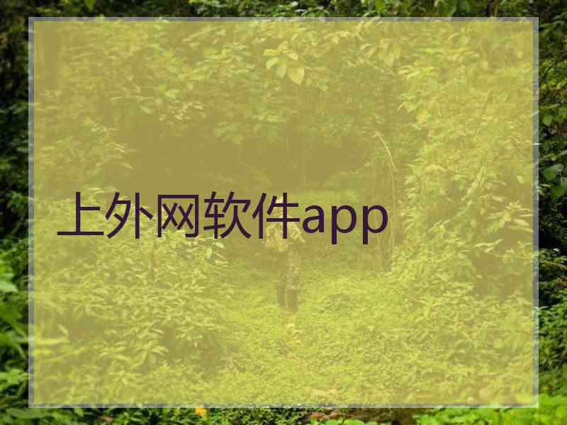 上外网软件app