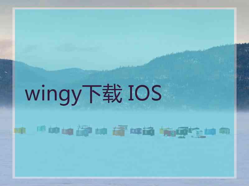 wingy下载 IOS