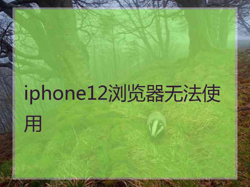 iphone12浏览器无法使用