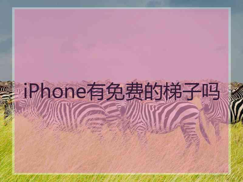 iPhone有免费的梯子吗