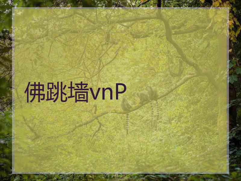 佛跳墙vnP