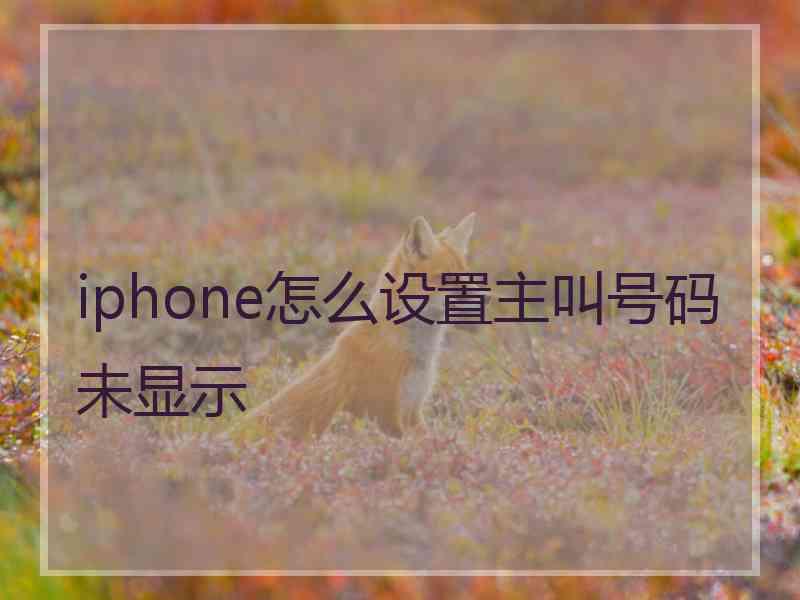 iphone怎么设置主叫号码未显示