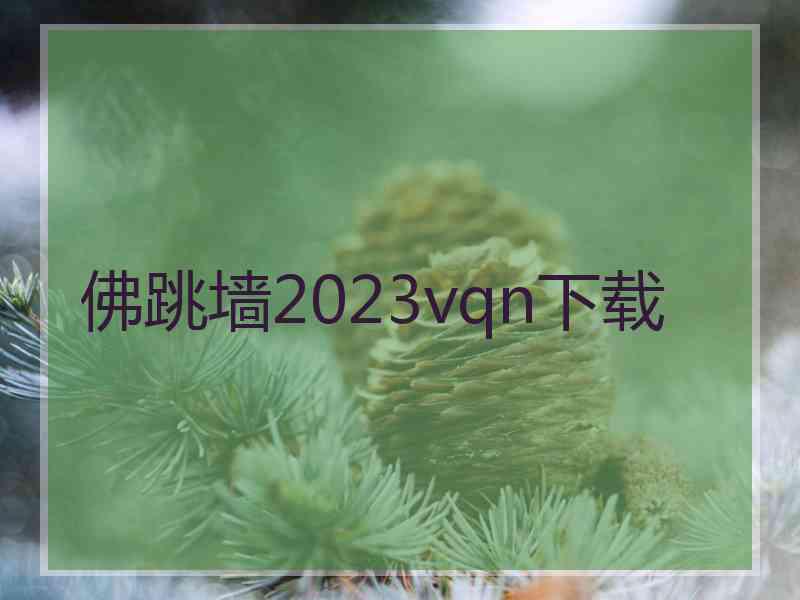 佛跳墙2023vqn下载