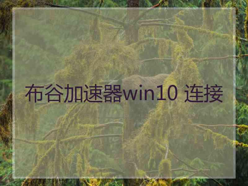 布谷加速器win10 连接