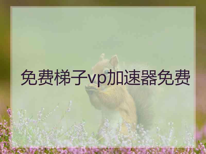 免费梯子vp加速器免费