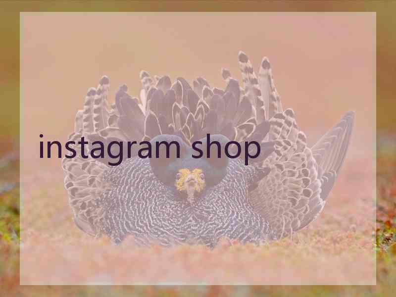 instagram shop