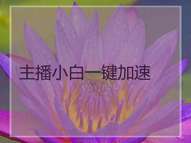 主播小白一键加速