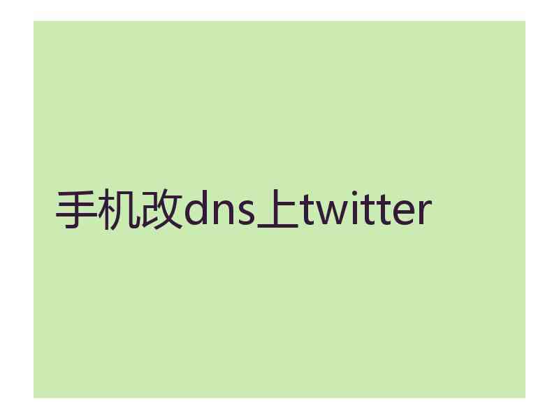 手机改dns上twitter