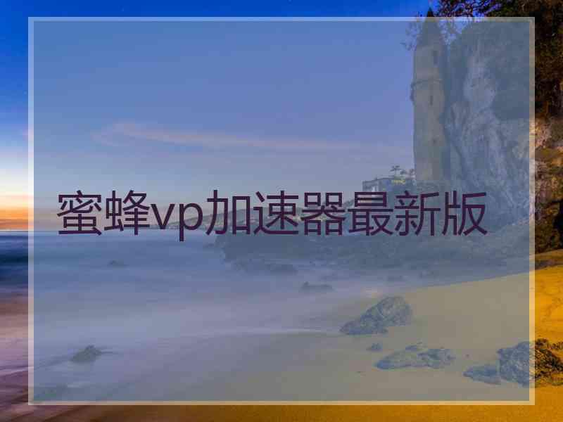 蜜蜂vp加速器最新版