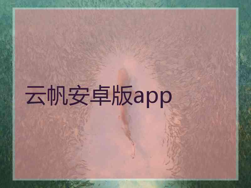 云帆安卓版app