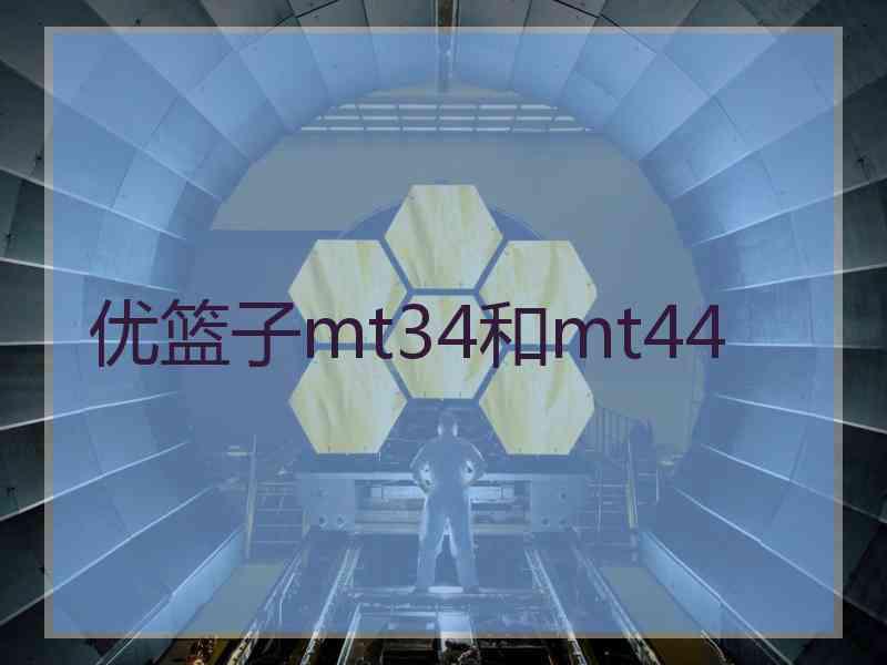 优篮子mt34和mt44