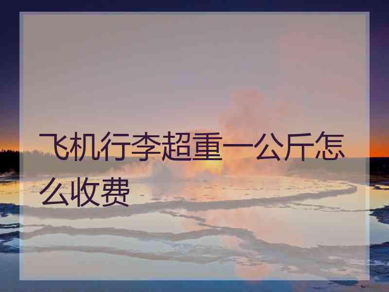 飞机行李超重一公斤怎么收费