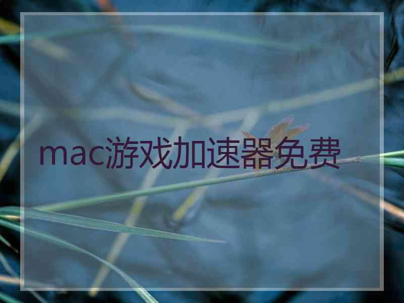 mac游戏加速器免费