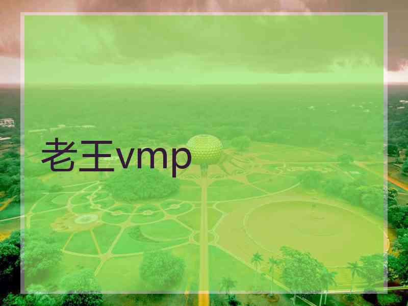 老王vmp