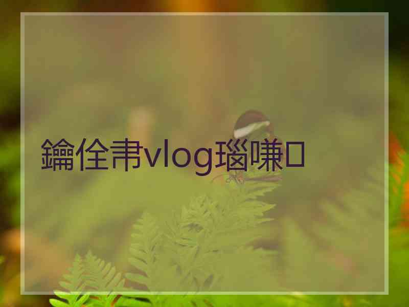 鑰佺帇vlog瑙嗛