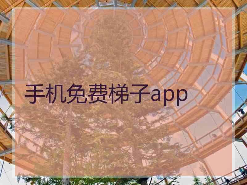 手机免费梯子app