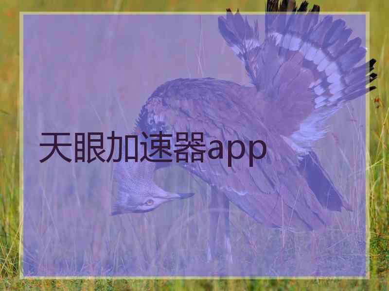 天眼加速器app