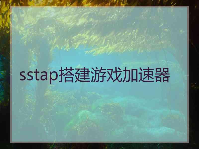 sstap搭建游戏加速器