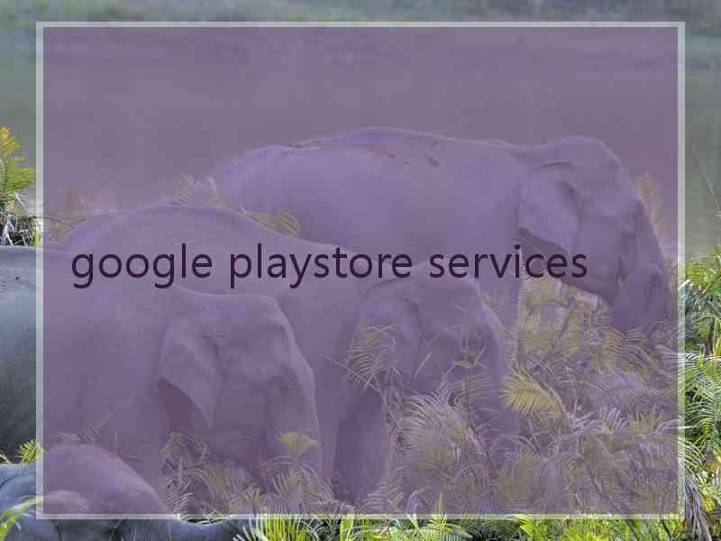 google playstore services