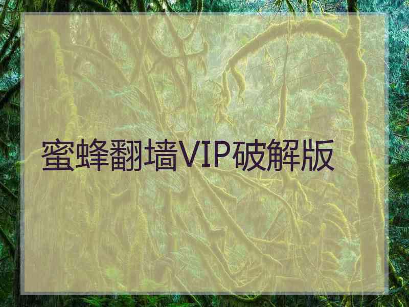 蜜蜂翻墙VIP破解版