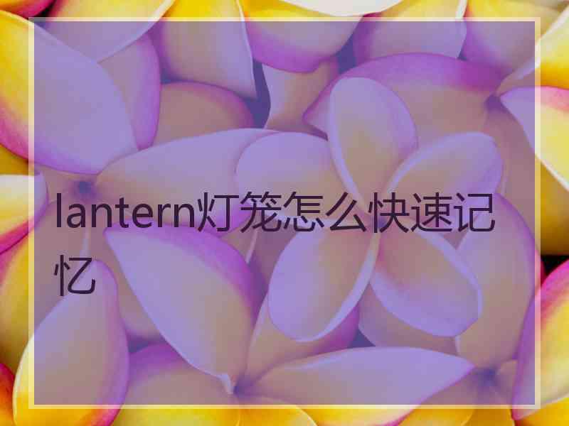 lantern灯笼怎么快速记忆