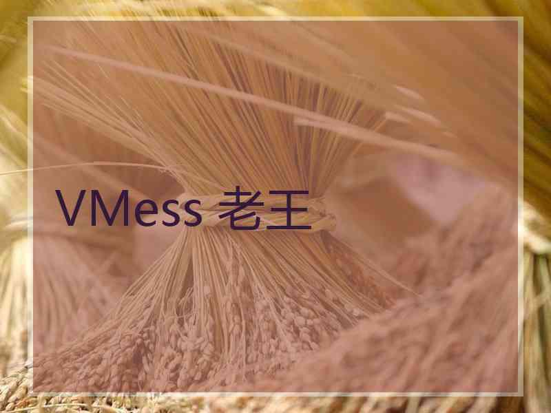 VMess 老王