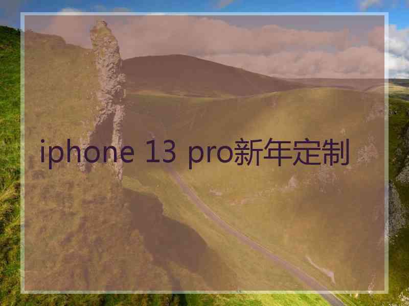 iphone 13 pro新年定制