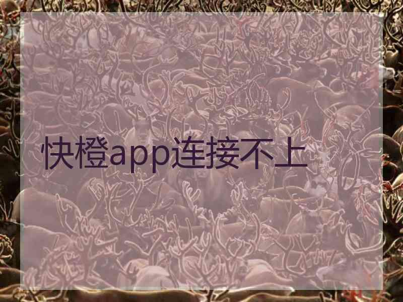 快橙app连接不上