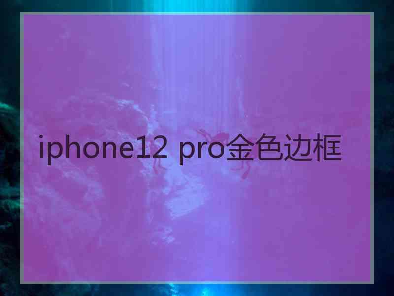 iphone12 pro金色边框