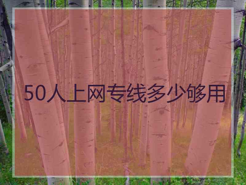 50人上网专线多少够用