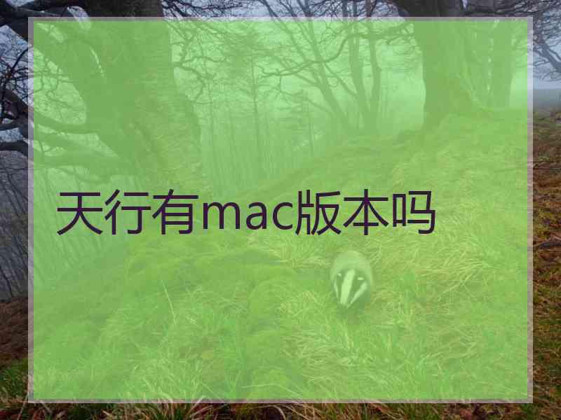 天行有mac版本吗