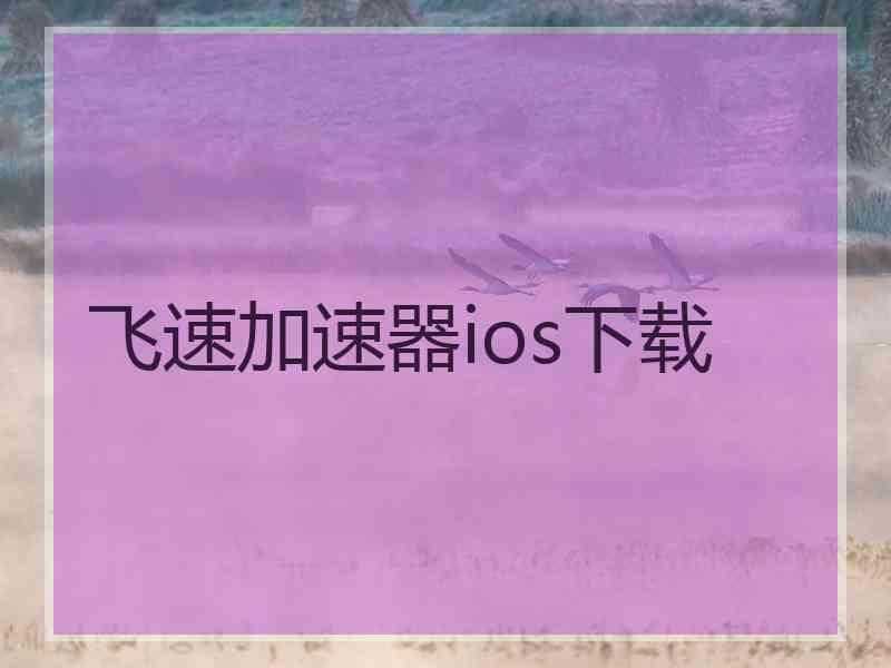 飞速加速器ios下载