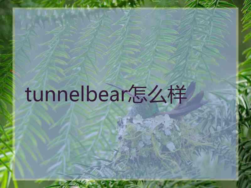 tunnelbear怎么样