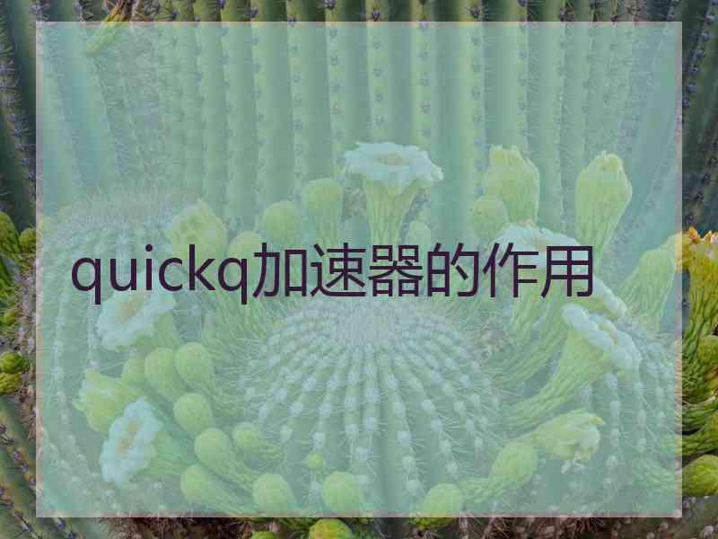 quickq加速器的作用