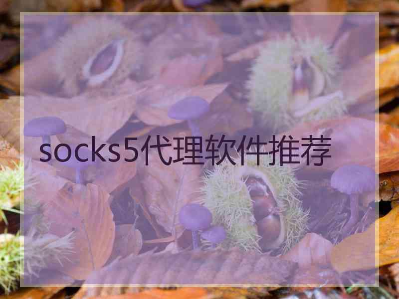 socks5代理软件推荐