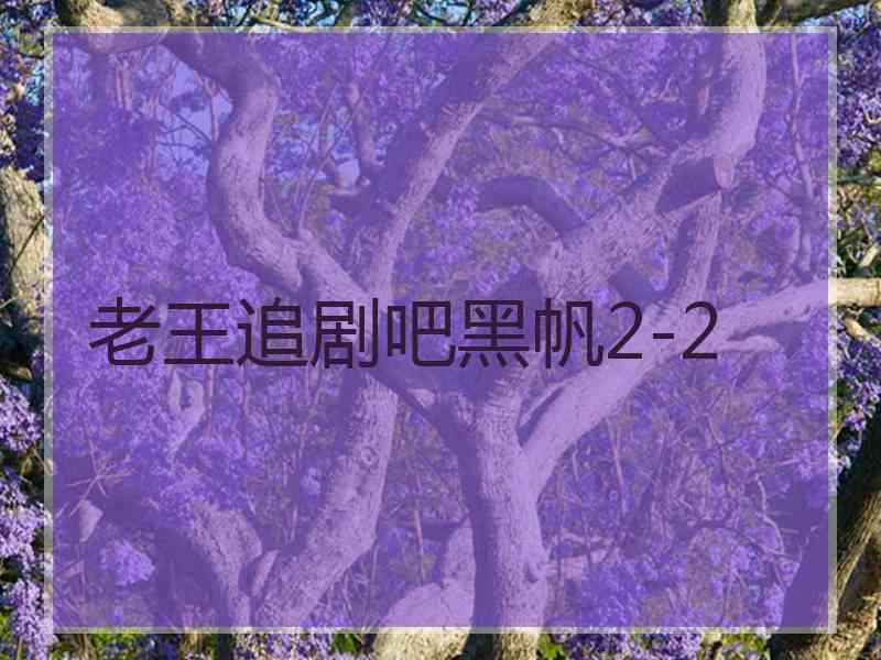 老王追剧吧黑帆2-2