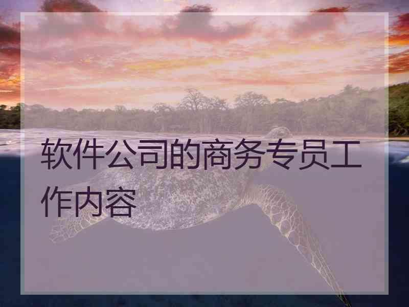 软件公司的商务专员工作内容