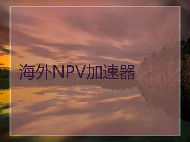 海外NPV加速器