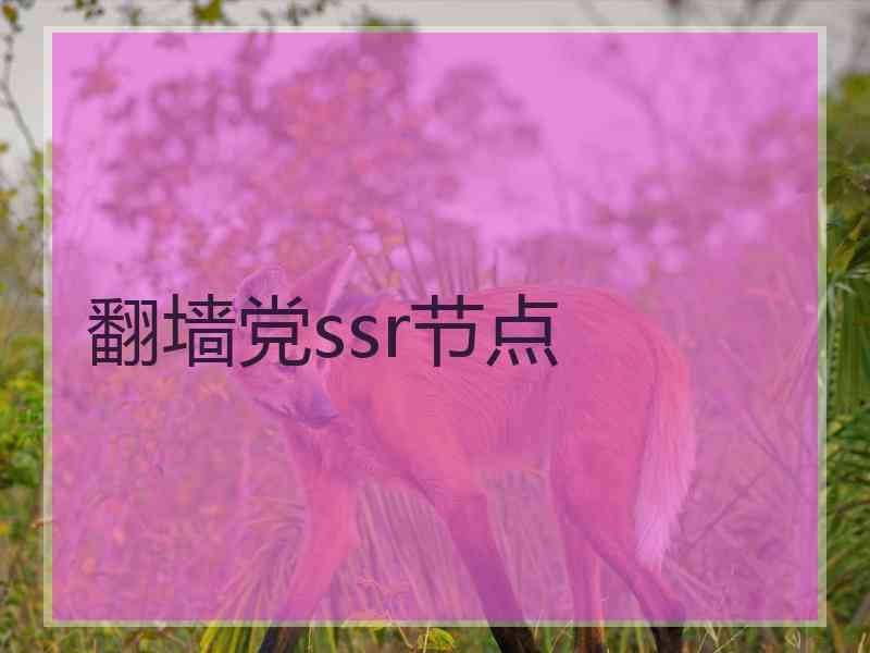 翻墙党ssr节点