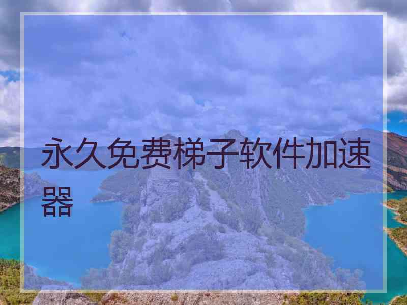 永久免费梯子软件加速器