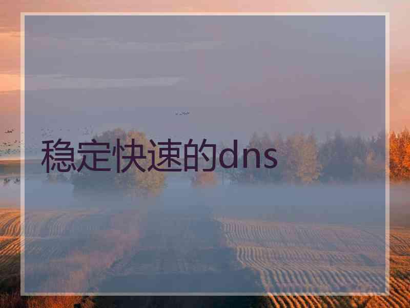 稳定快速的dns