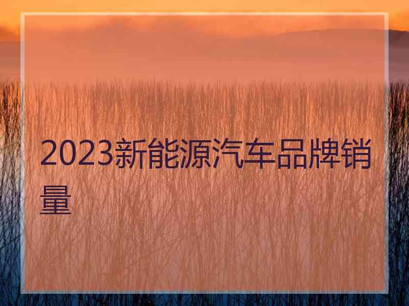 2023新能源汽车品牌销量