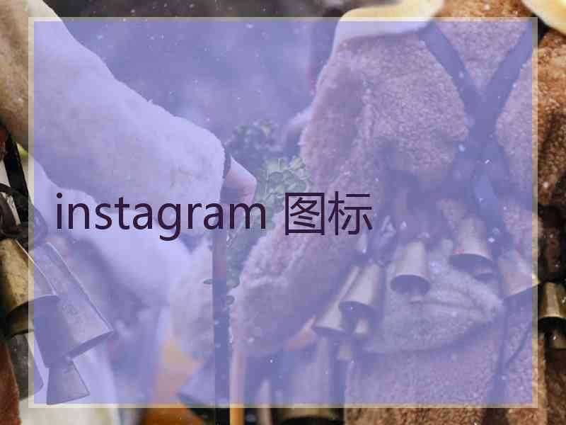 instagram 图标