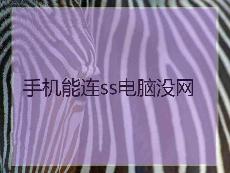 手机能连ss电脑没网