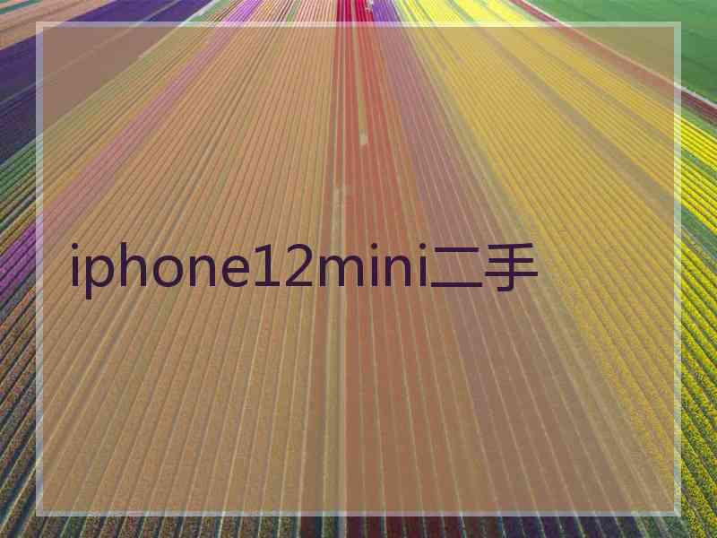 iphone12mini二手