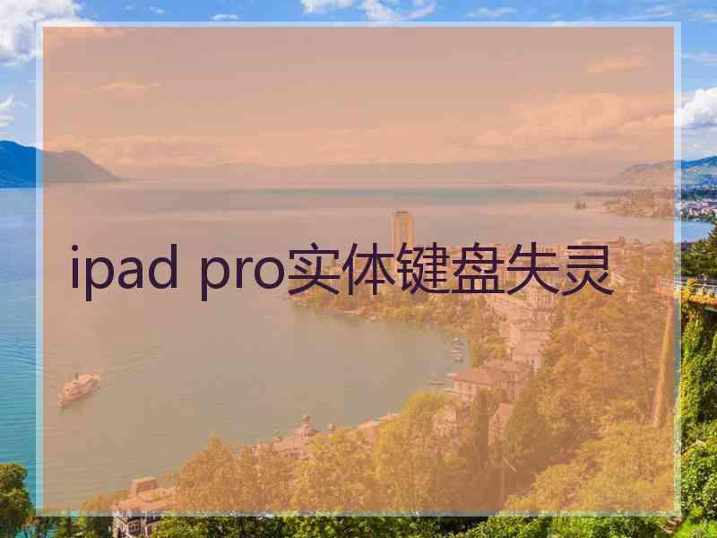 ipad pro实体键盘失灵